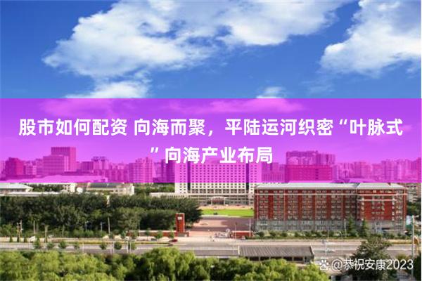 股市如何配资 向海而聚，平陆运河织密“叶脉式”向海产业布局